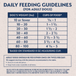 Natural Balance Limited Ingredient Dry Dog Food, Lamb & Brown Rice Recipe - Image 8