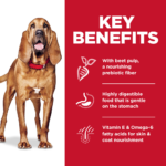 Hill's Science Diet Sensitive Stomach & Skin LG Breed Adult Chicken & Barley Recipe Dry Dog Food - Image 5