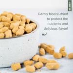 Dr. Marty Nature's Blend for Puppies Freeze Dried Raw Dog Food - Image 3