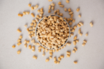 Dr. Marty Nature's Blend for Puppies Freeze Dried Raw Dog Food - Image 4