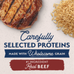 Natural Balance Limited Ingredient Dry Dog Food, Beef & Brown Rice Recipe - Image 6
